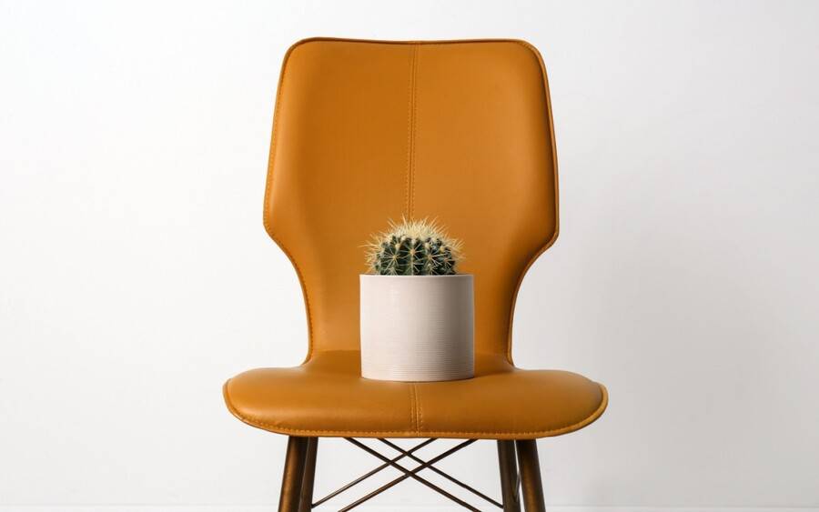 A seat with a cactus illustrates what it feels like to sit down with hemorrhoids.
