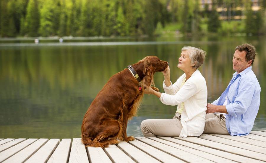 A mature couple sitting on a doc and playing with their dog, illustrating the improvement in quality of life after joint reconstruction or replacement surgery.