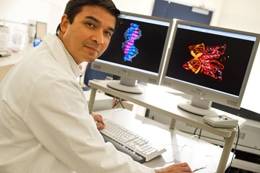 SCORE Dr. D’Lima